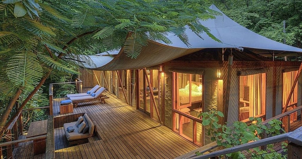 Biophilic hotel design with natural elements and greenery