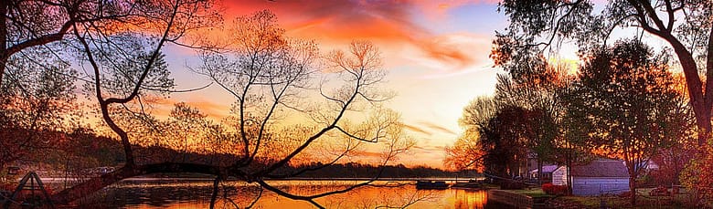 Sunset through trees used in luxury travel storytelling