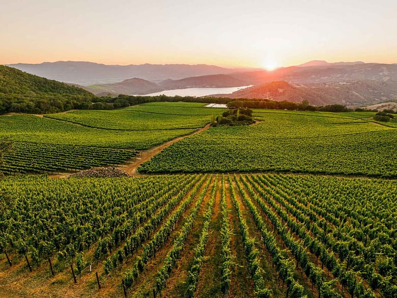 Aerial view of Napa Valley vineyards at sunset, the wine country setting of a luxury hotel AI visibility audit
