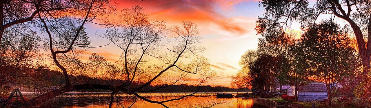 Sunset through trees used in luxury travel storytelling
